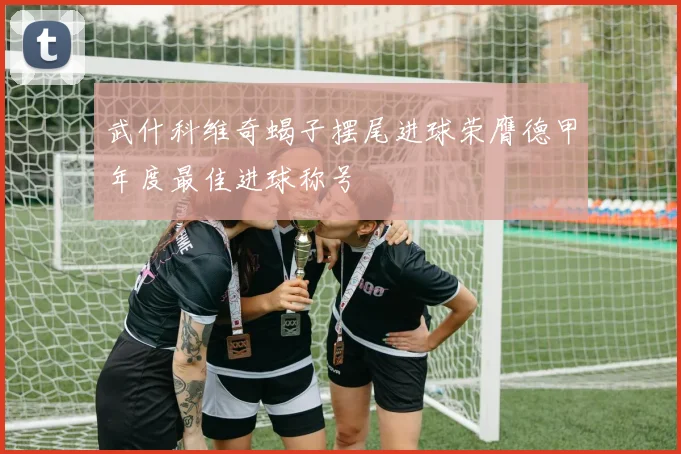 武什科维奇蝎子摆尾进球荣膺德甲年度最佳进球称号